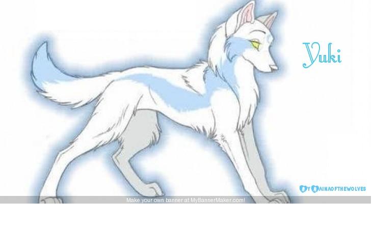 Yuki.JPG